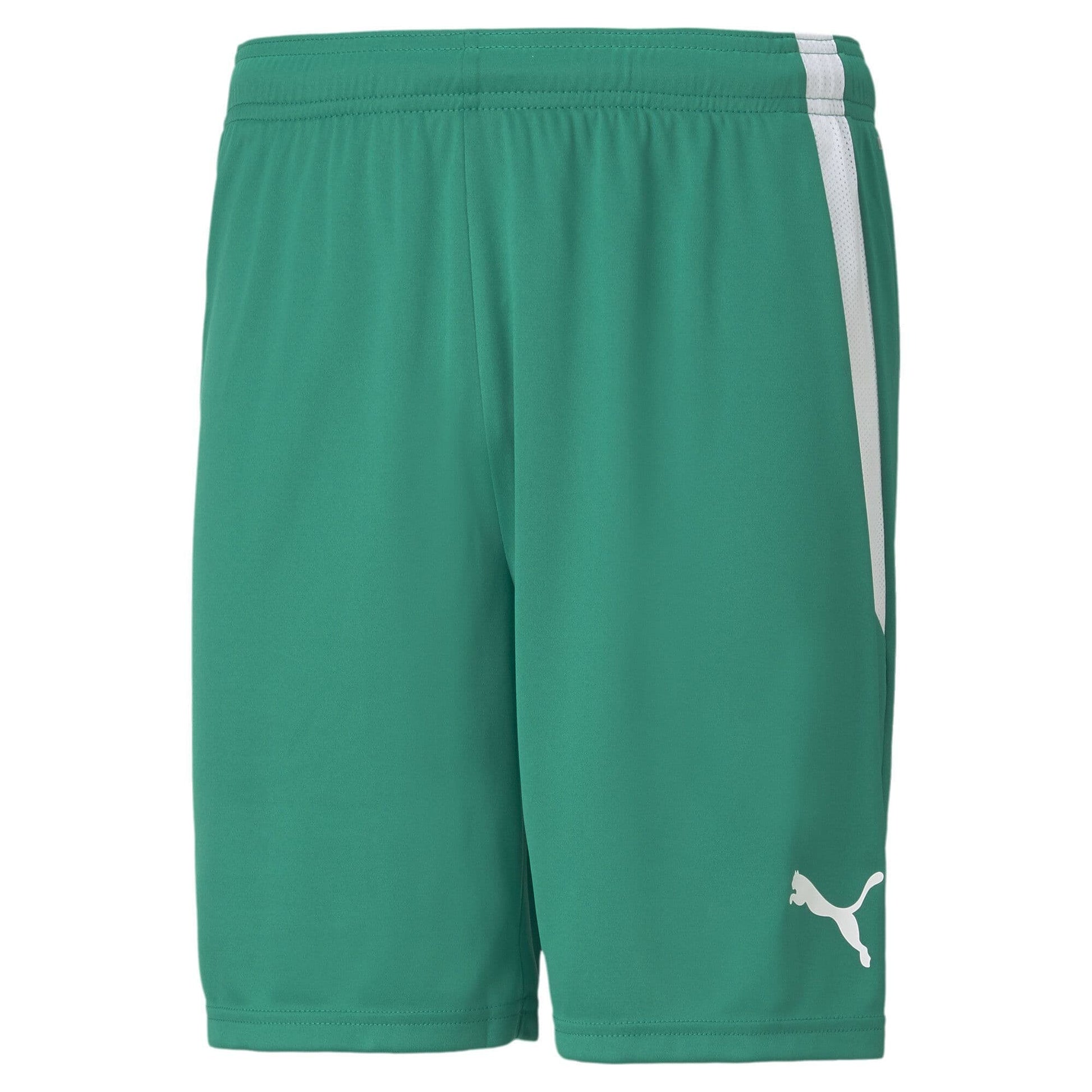 Puma teamLIGA Shorts