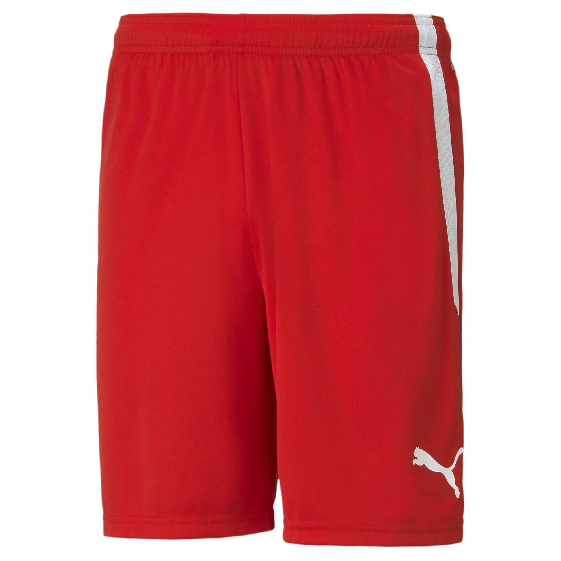 Puma teamLIGA Shorts