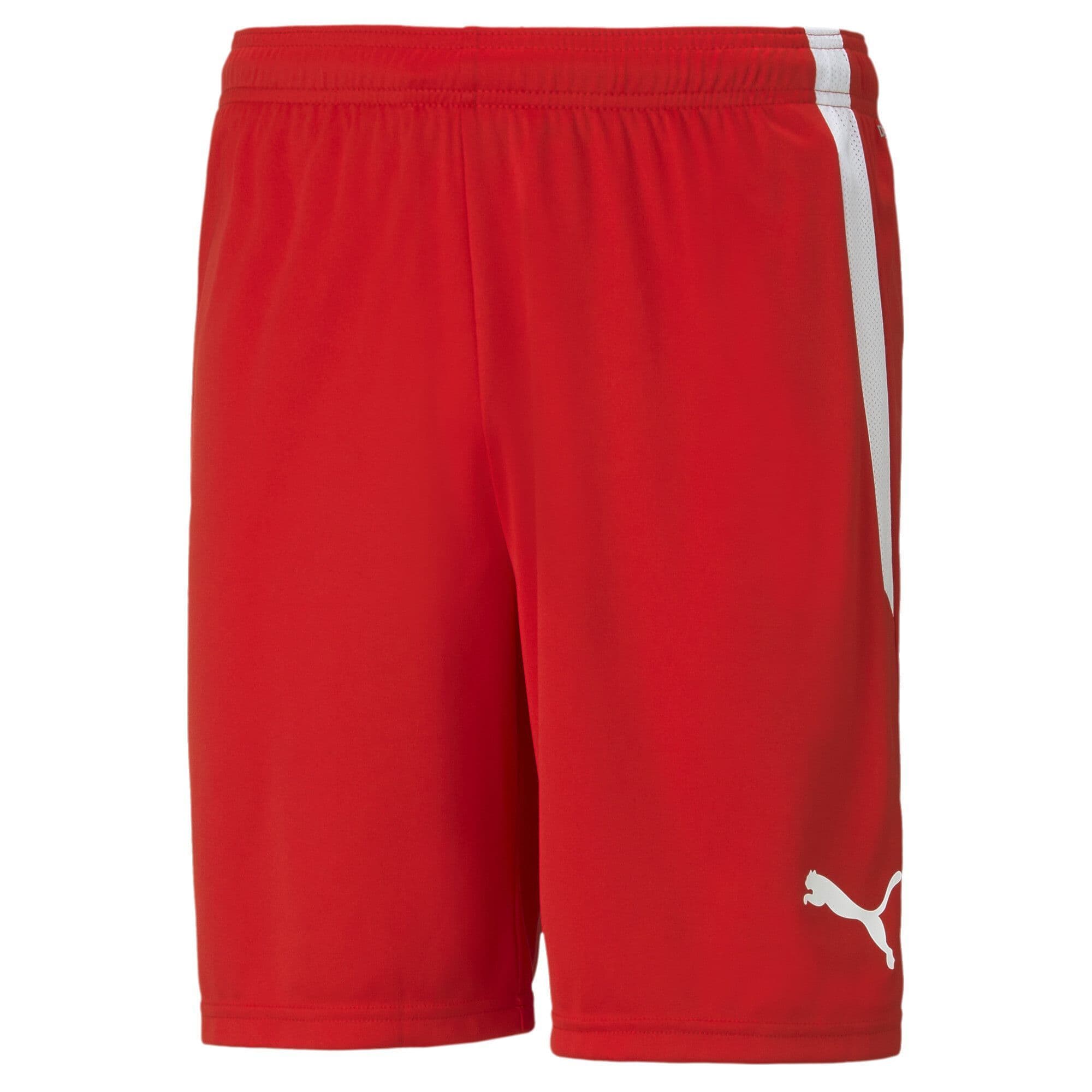 Puma teamLIGA Shorts