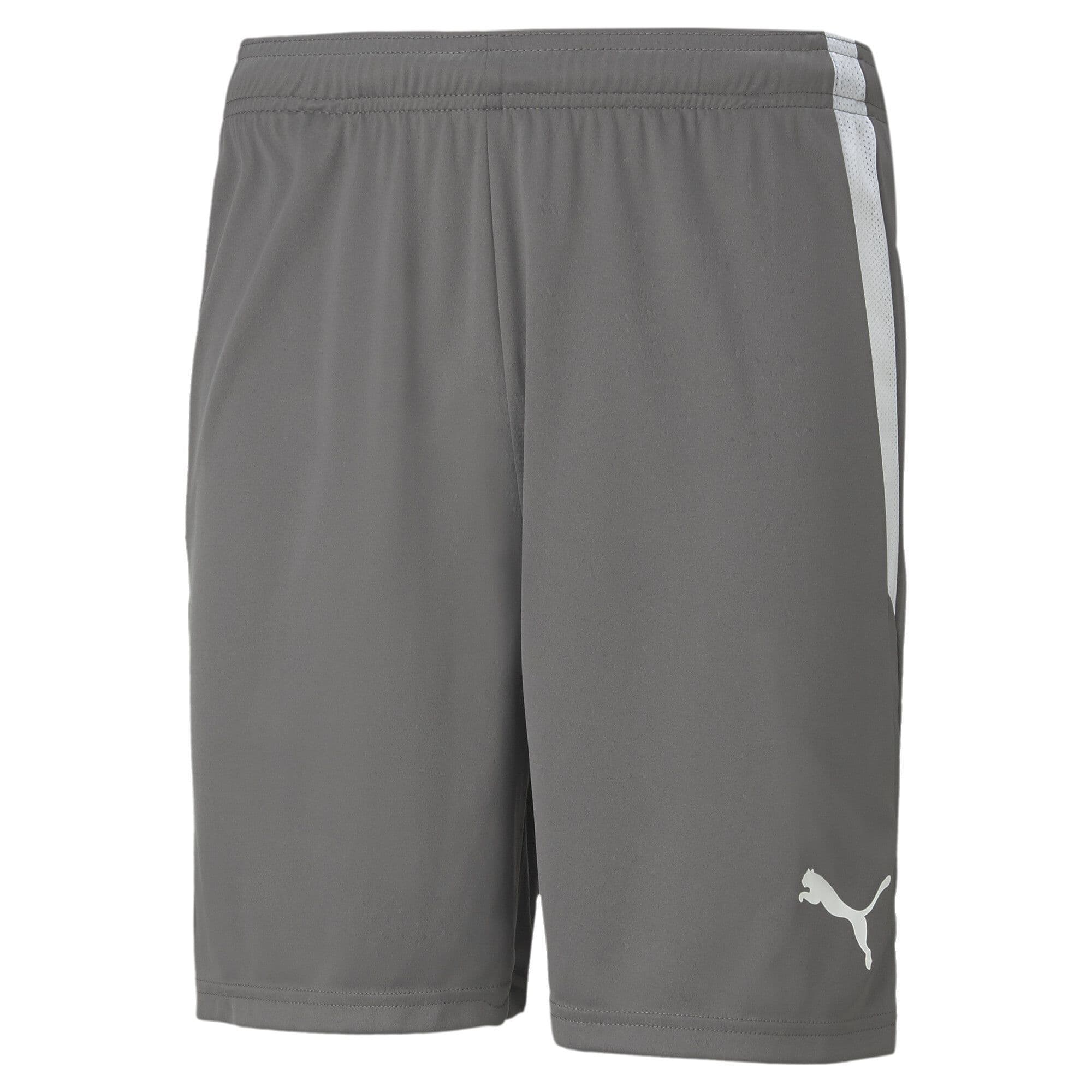 Puma teamLIGA Shorts