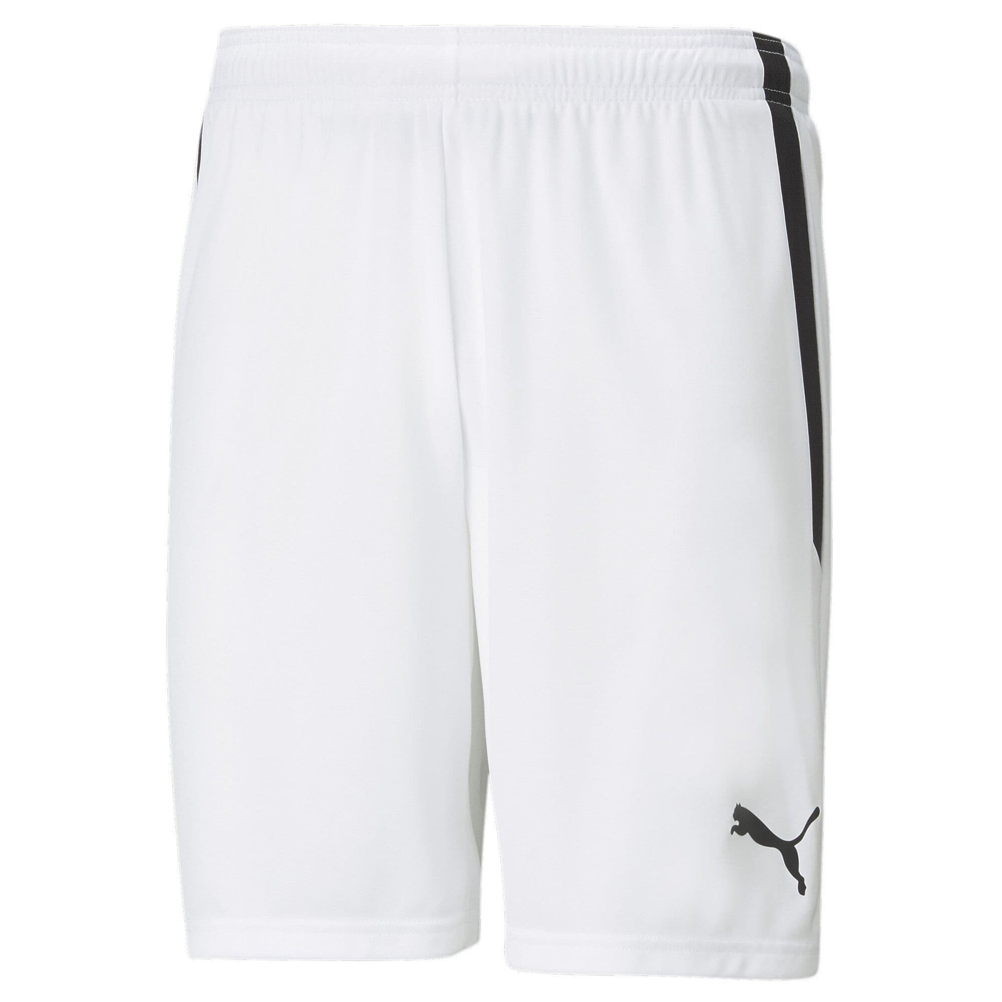 Puma teamLIGA Shorts
