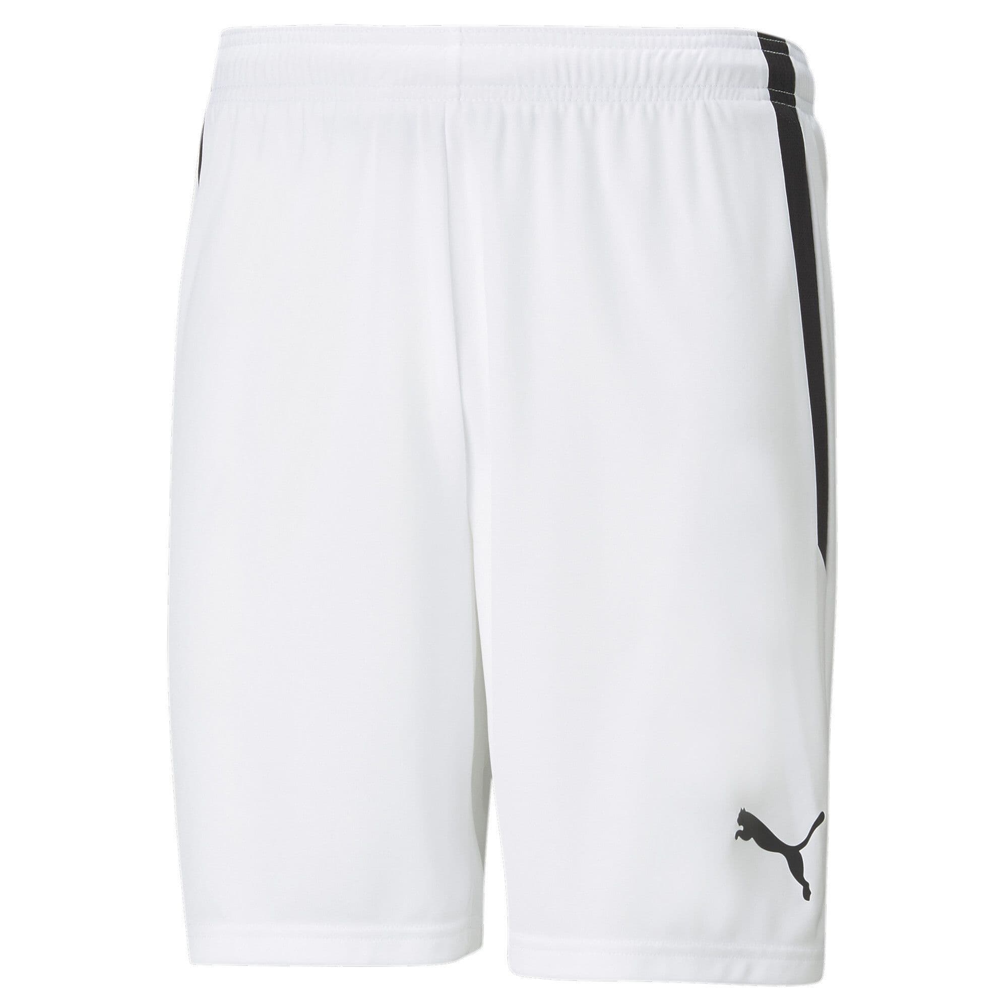 Puma teamLIGA Shorts