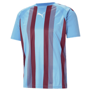 Puma teamLIGA Striped Jersey