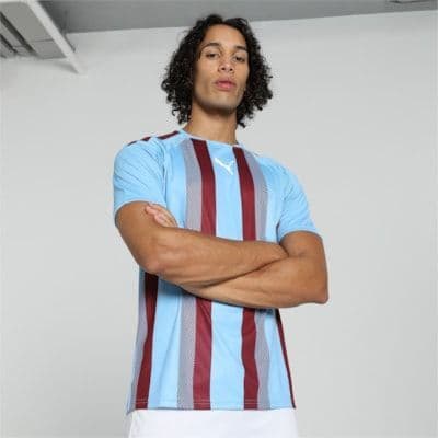 Puma teamLIGA Striped Jersey