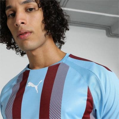 Puma teamLIGA Striped Jersey