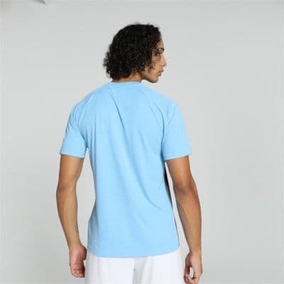 Puma teamLIGA Striped Jersey
