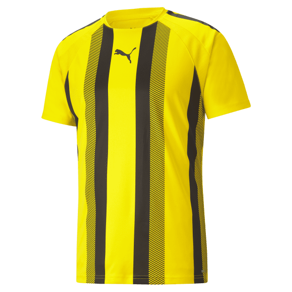 Puma teamLIGA Striped Jersey