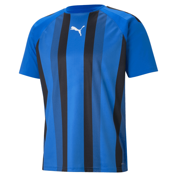 Puma teamLIGA Striped Jersey