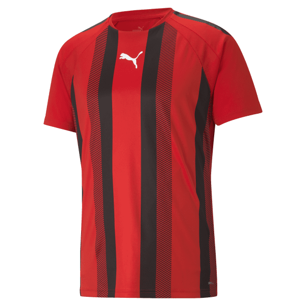 Puma teamLIGA Striped Jersey