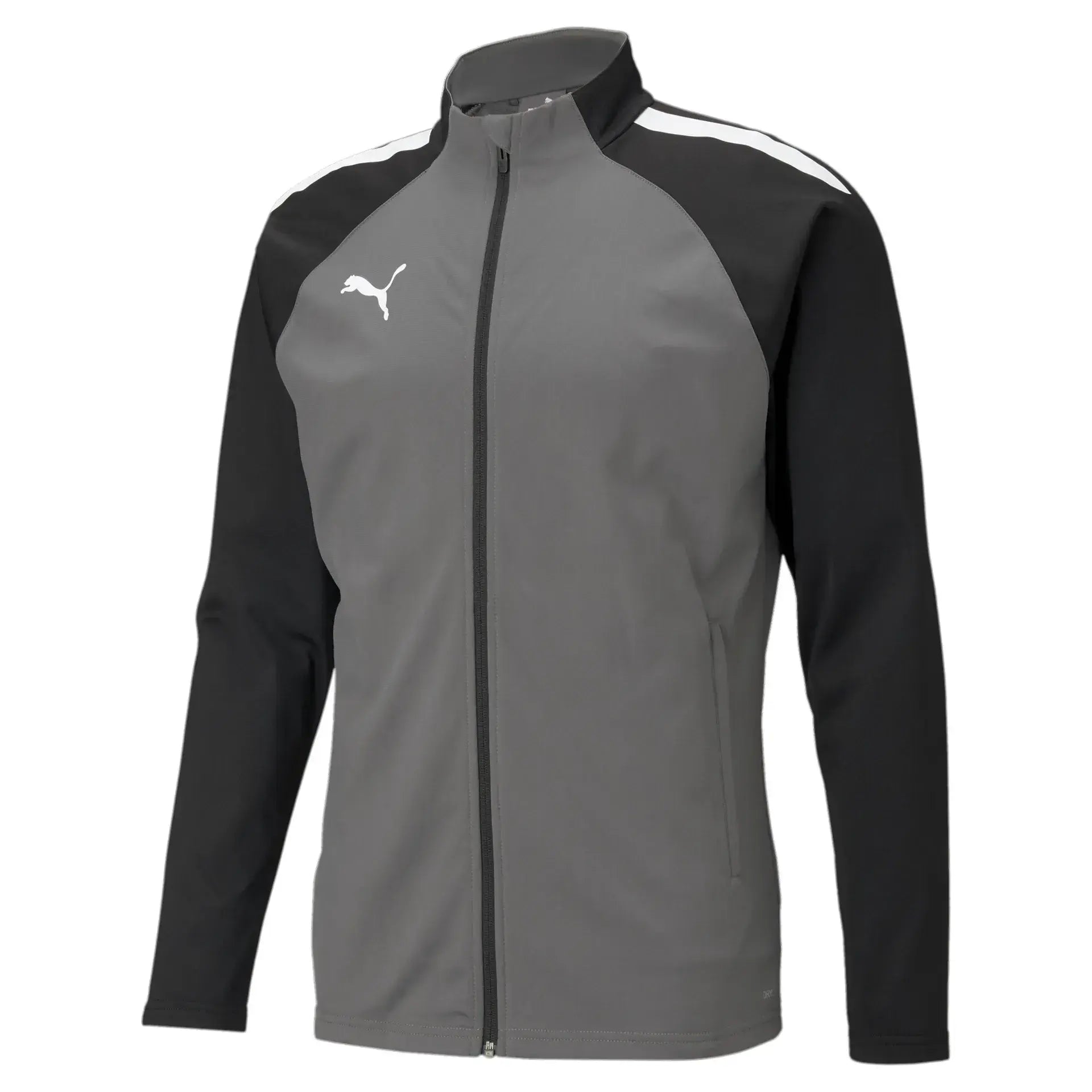 Puma teamLIGA Training 1/4 Jacket Junior