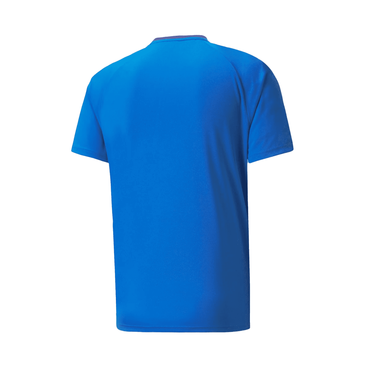 Puma teamLIGA Training Jersey