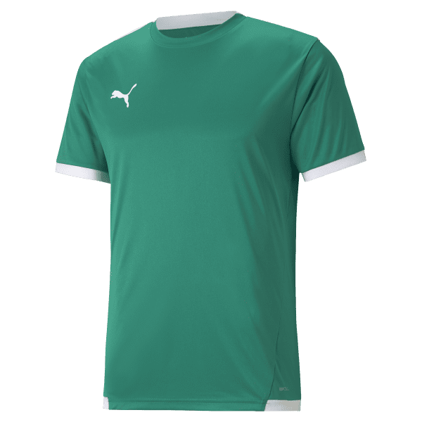 Puma teamLIGA Training Jersey