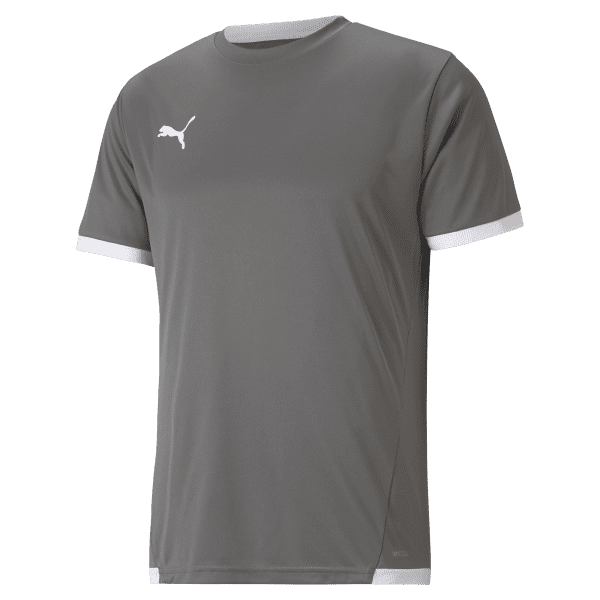Puma teamLIGA Training Jersey