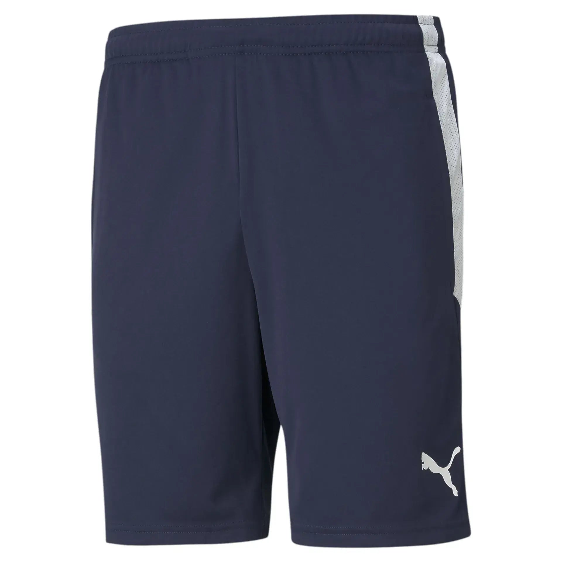 Puma teamLIGA Training Shorts