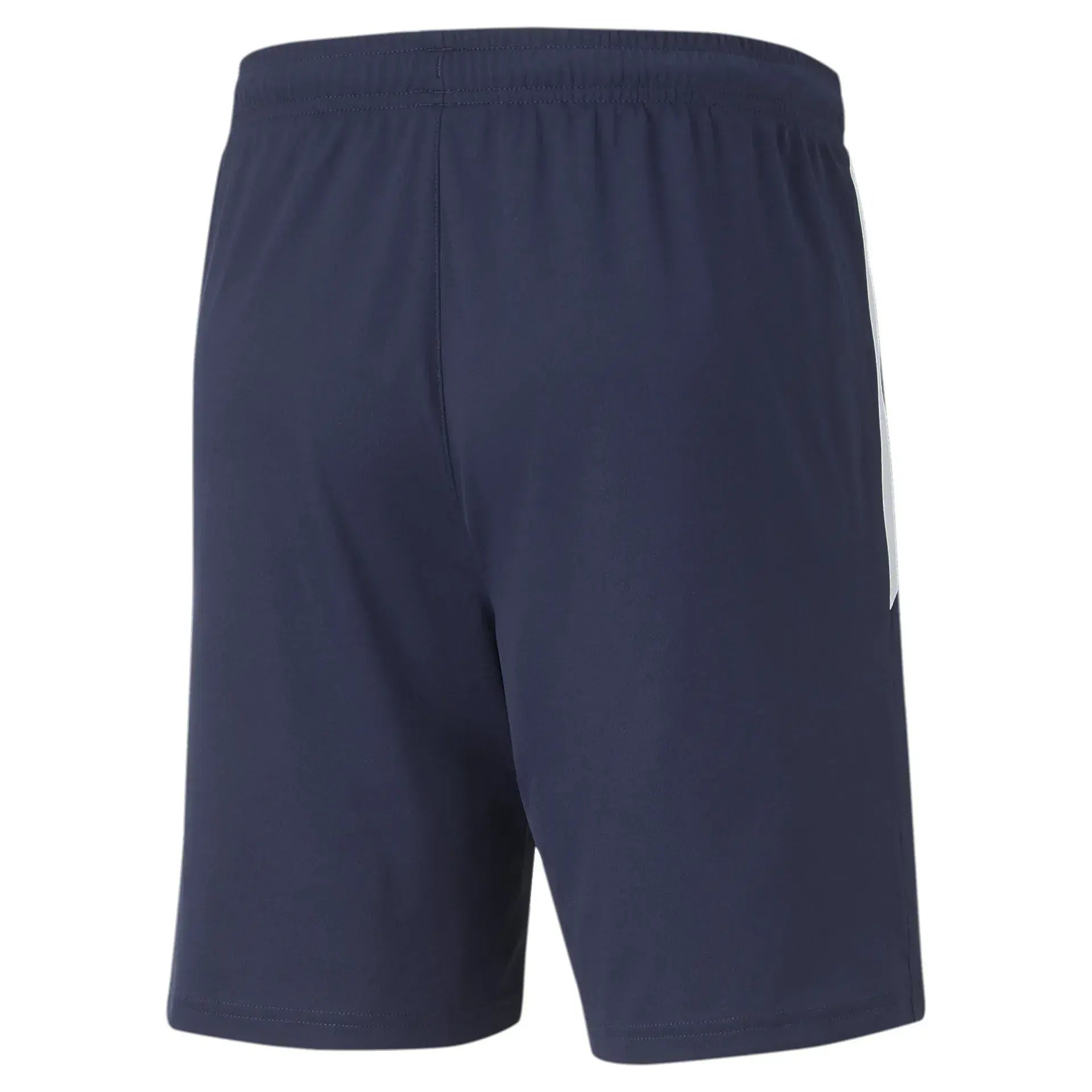 Puma teamLIGA Training Shorts Junior