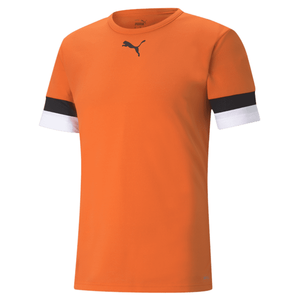 Puma teamRISE Jersey