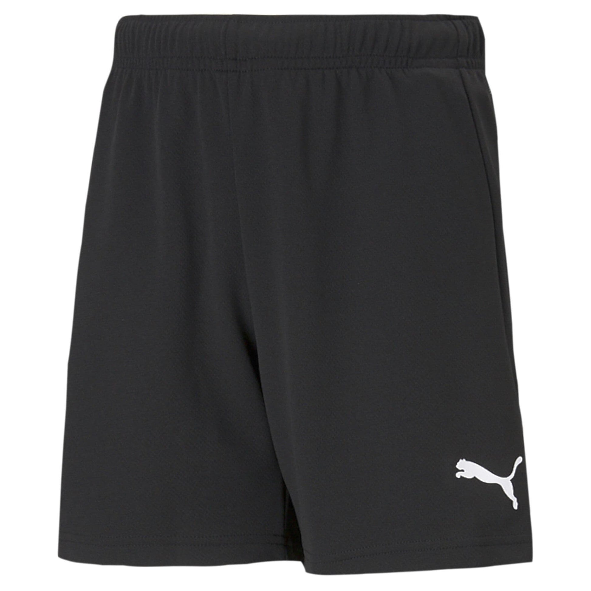 Puma teamRISE Short