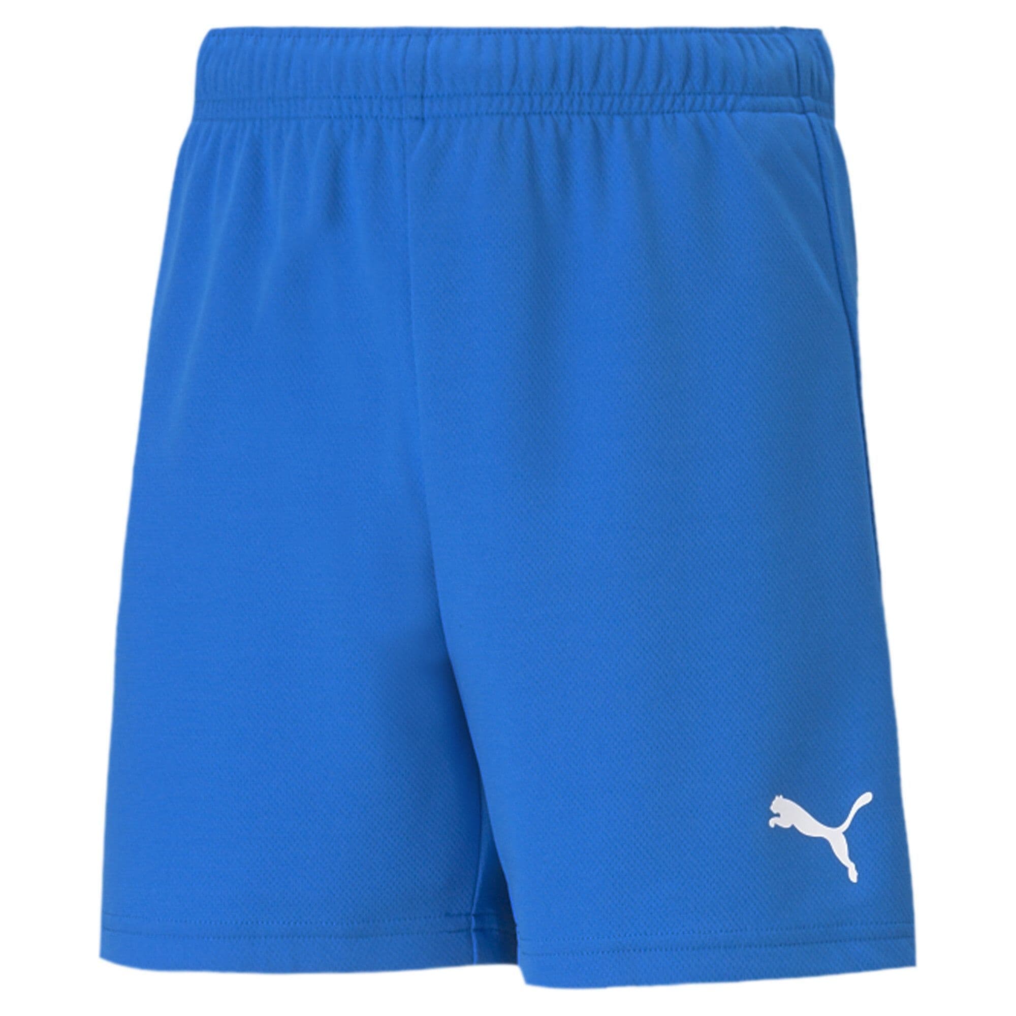 Puma teamRISE Short