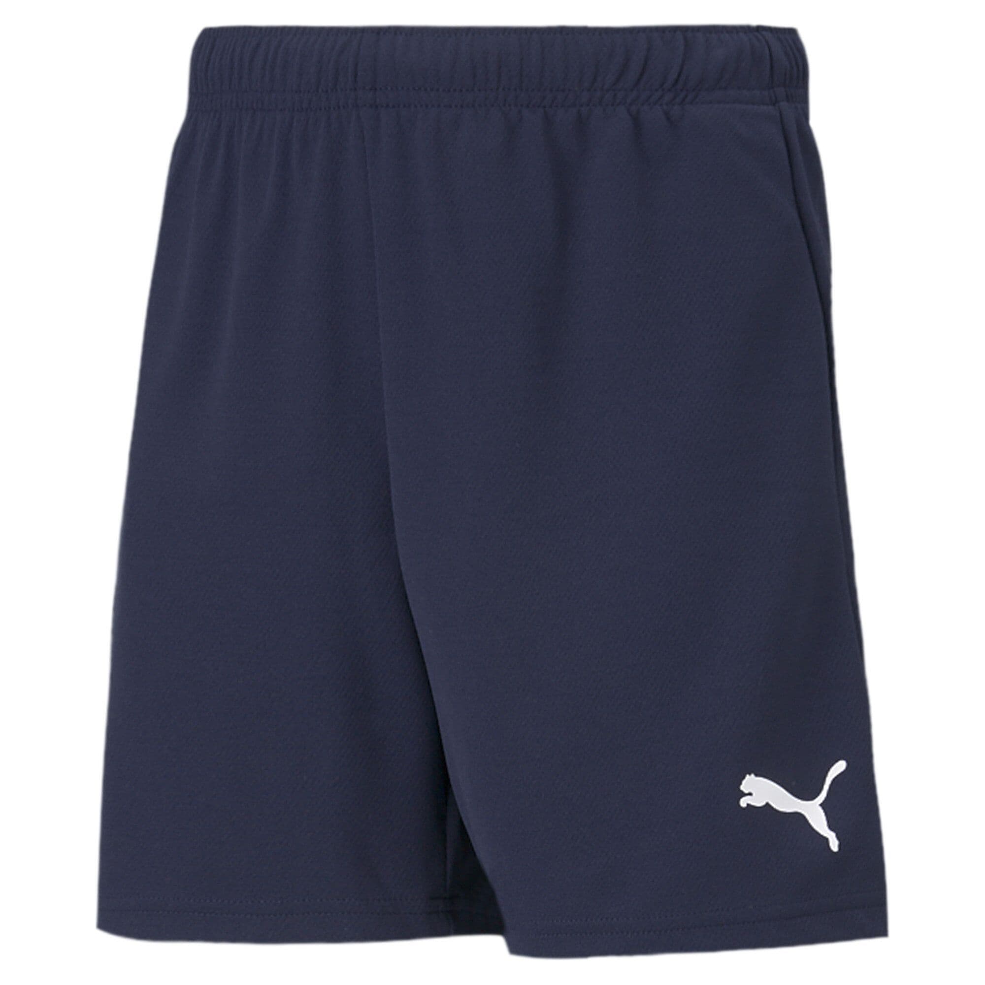 Puma teamRISE Short