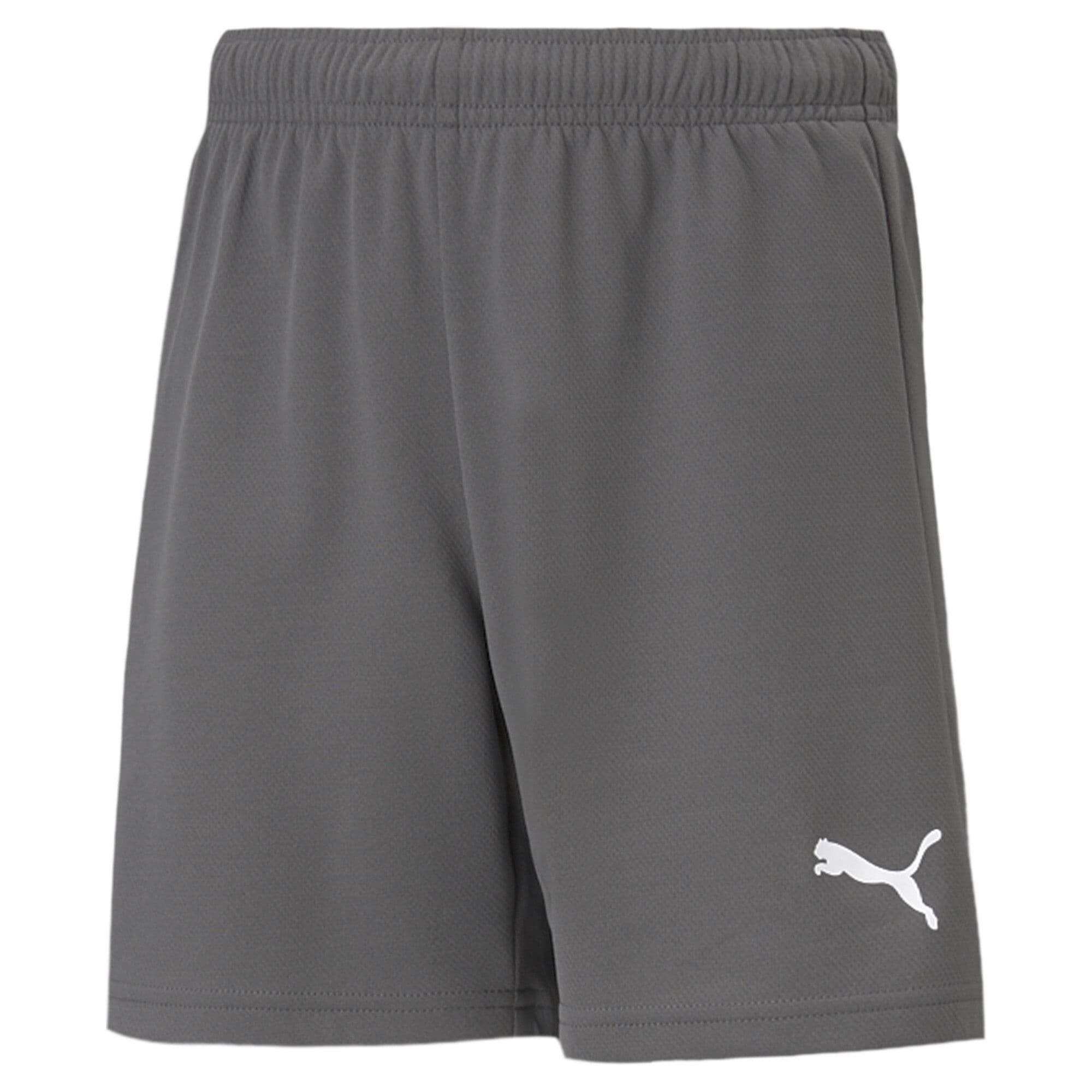 Puma teamRISE Short