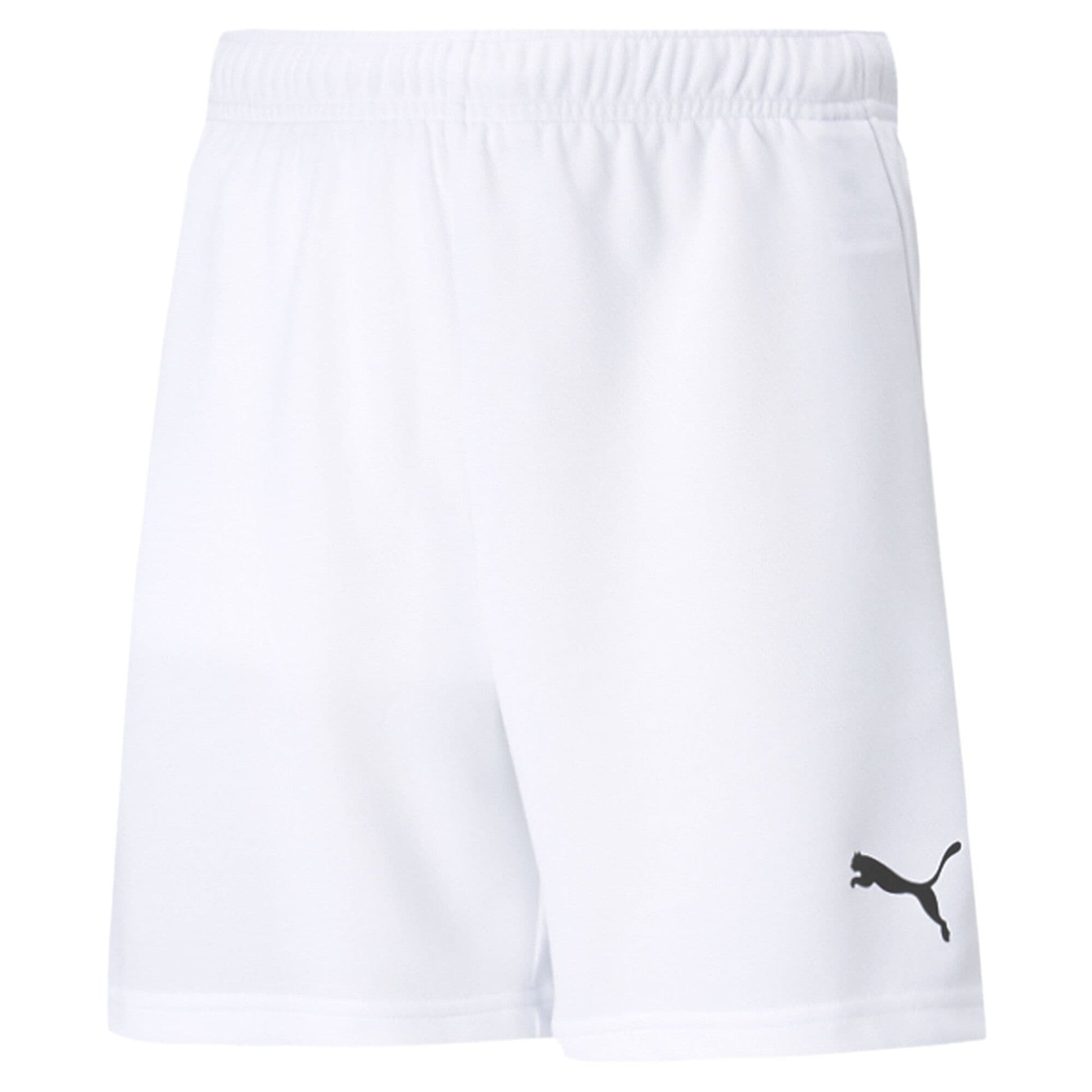 Puma teamRISE Short