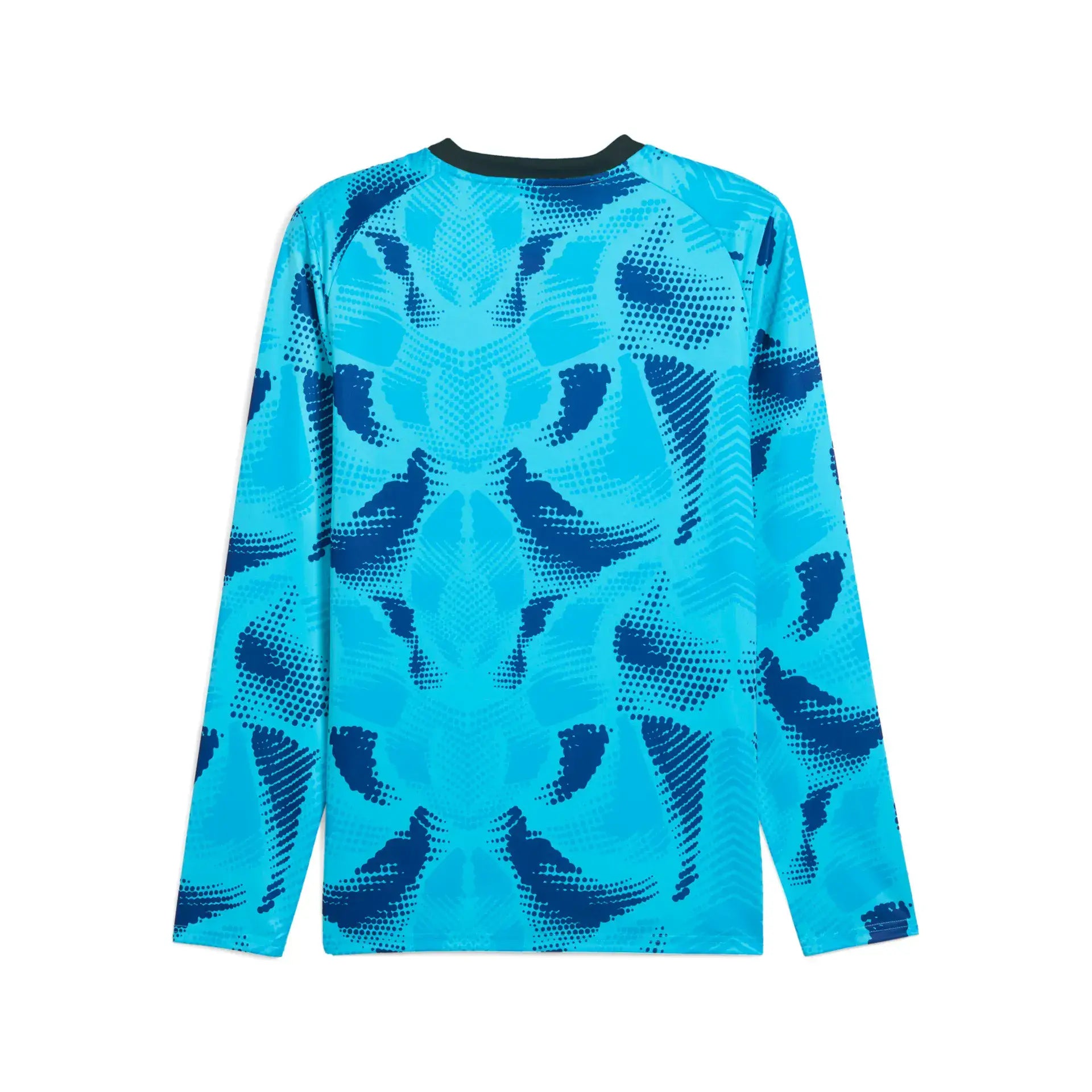 Puma teamTarget GK LS Jersey