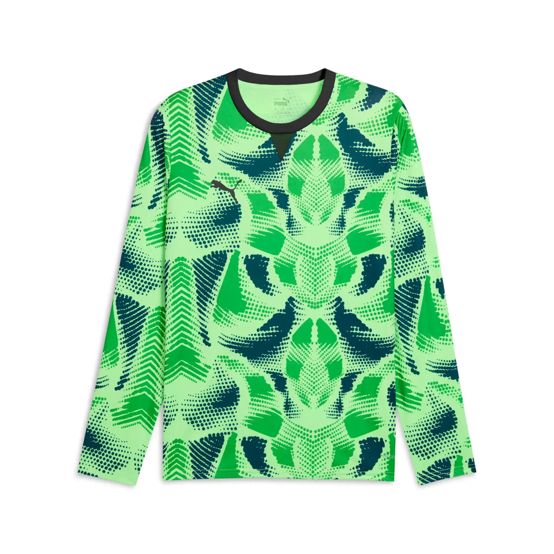 Puma teamTarget GK LS Jersey