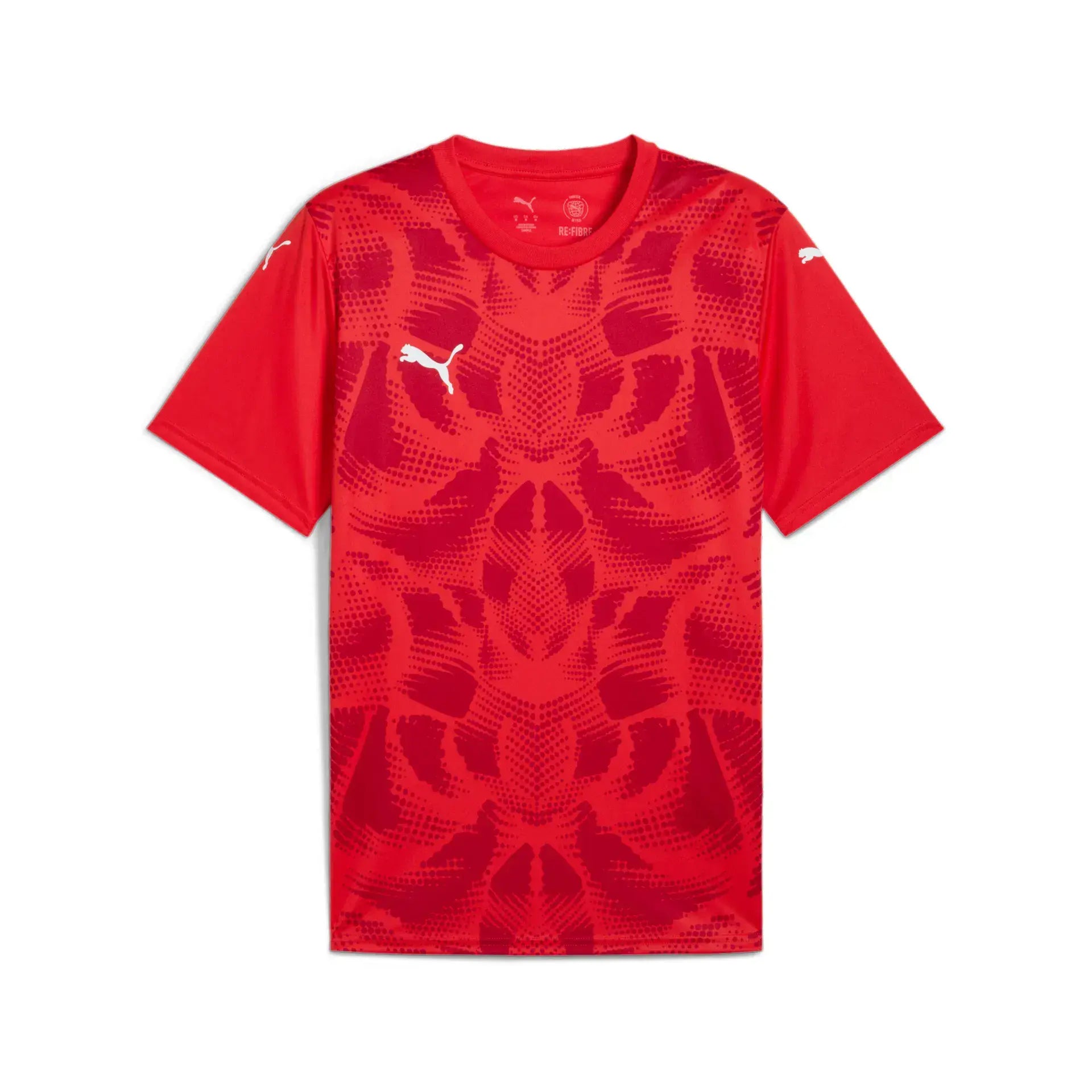 Puma teamULTIMATE 2025 Jersey