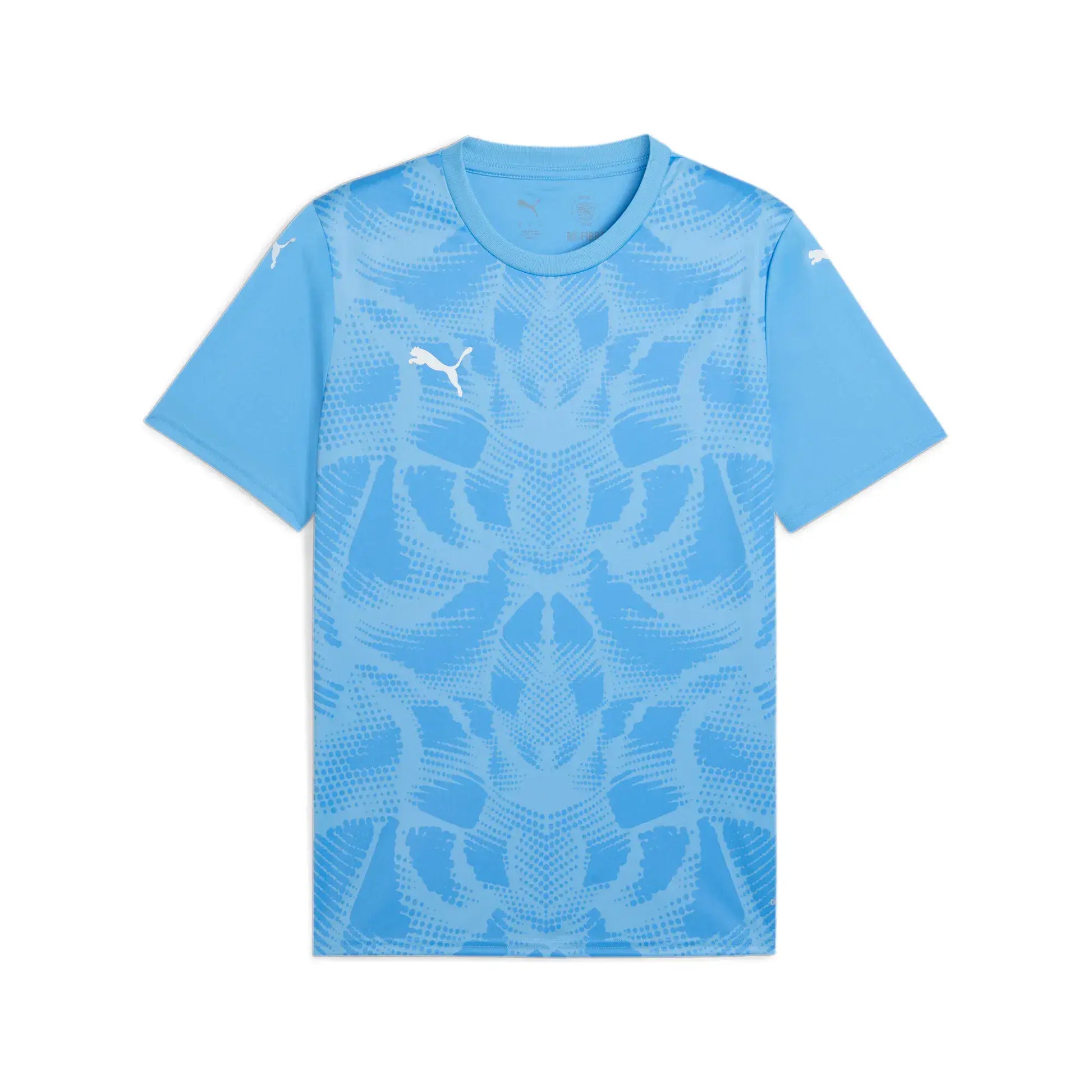 Puma teamULTIMATE 2025 Jersey