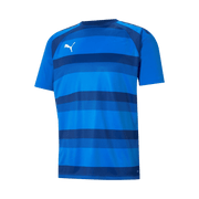 Puma teamVISION Jersey
