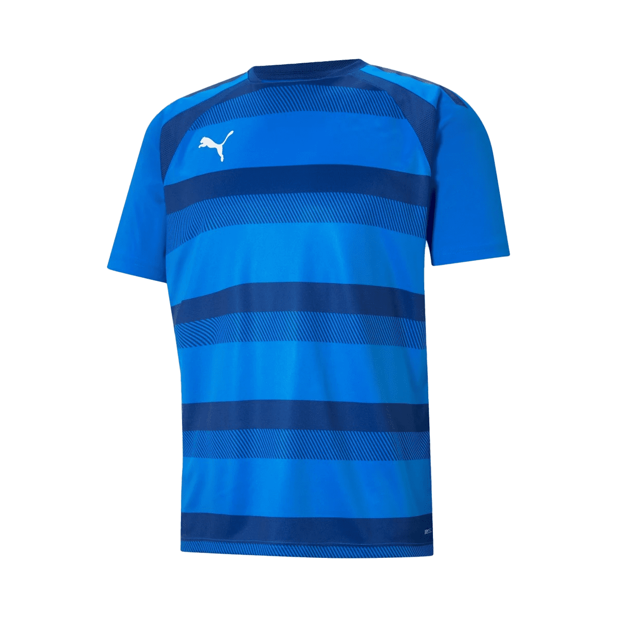 Puma teamVISION Jersey