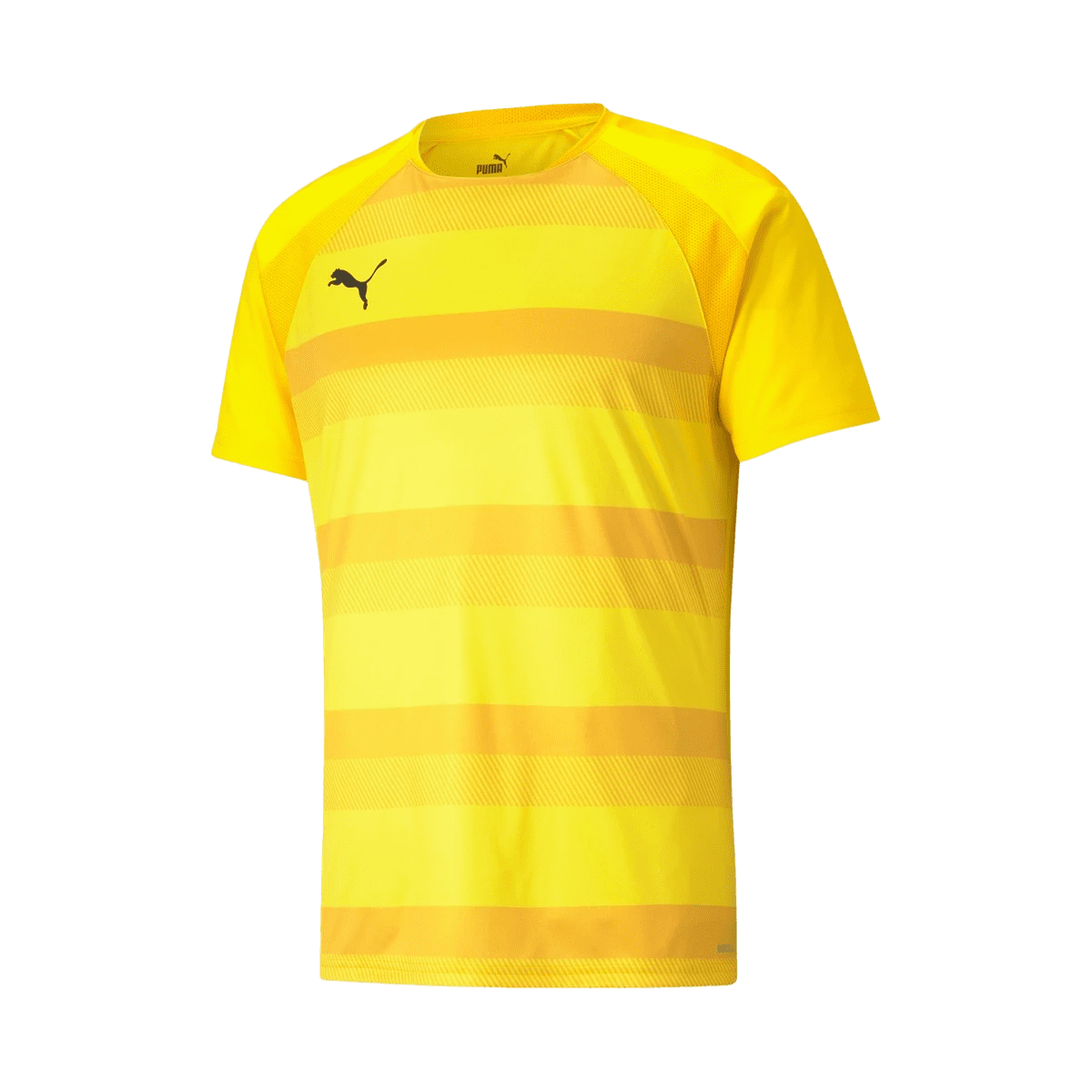 Puma teamVISION Jersey