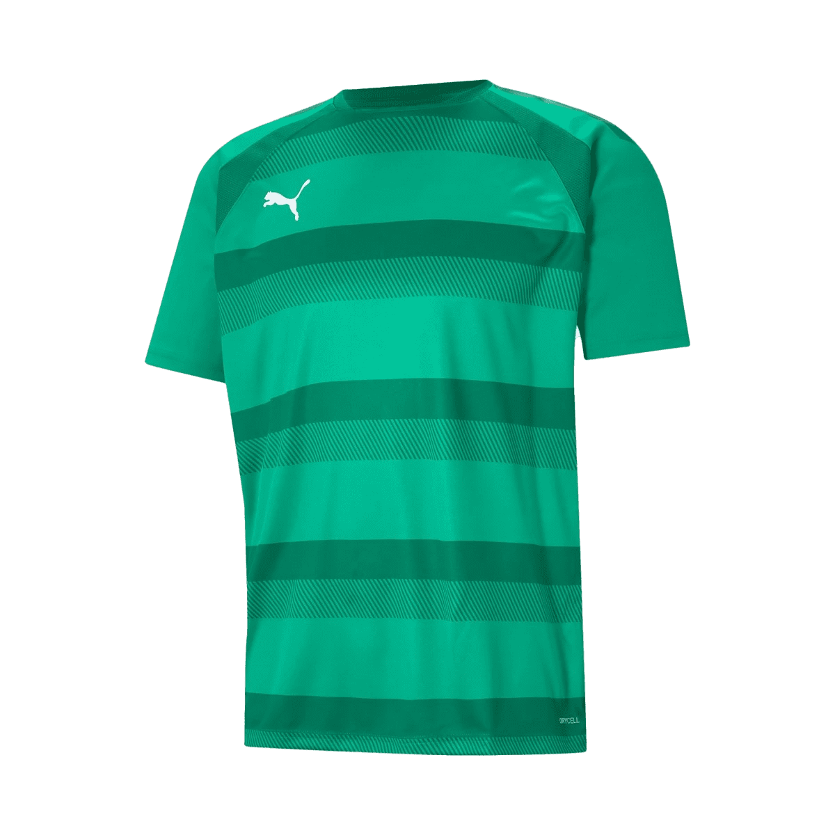 Puma teamVISION Jersey