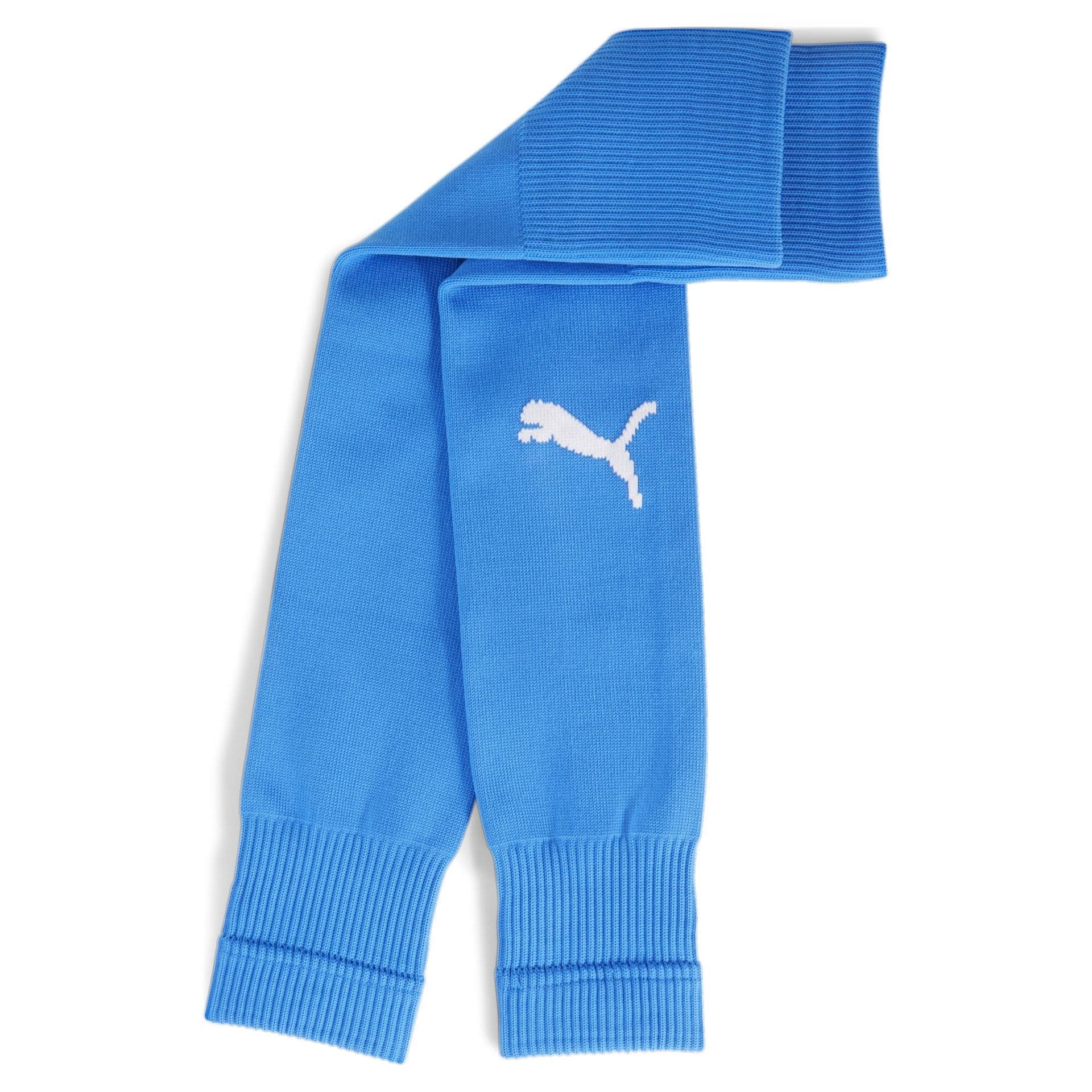 Puma teamLIGA Core Socks